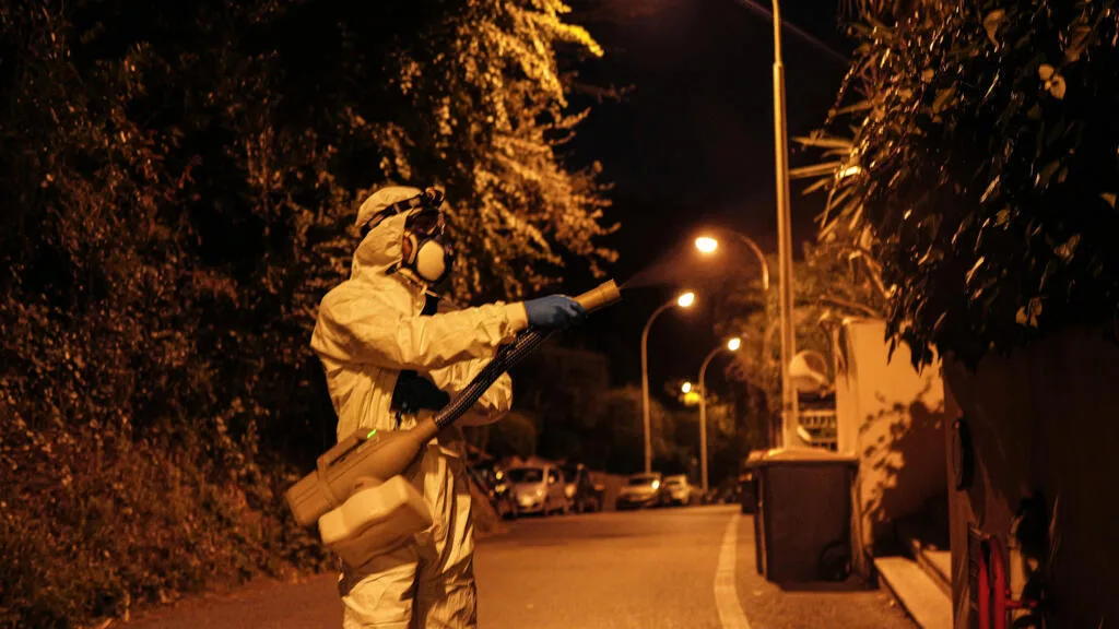 Dengue, chikungunya, virus du Nil occidental: faut-il s'inquiéter des cas en France hexagonale?