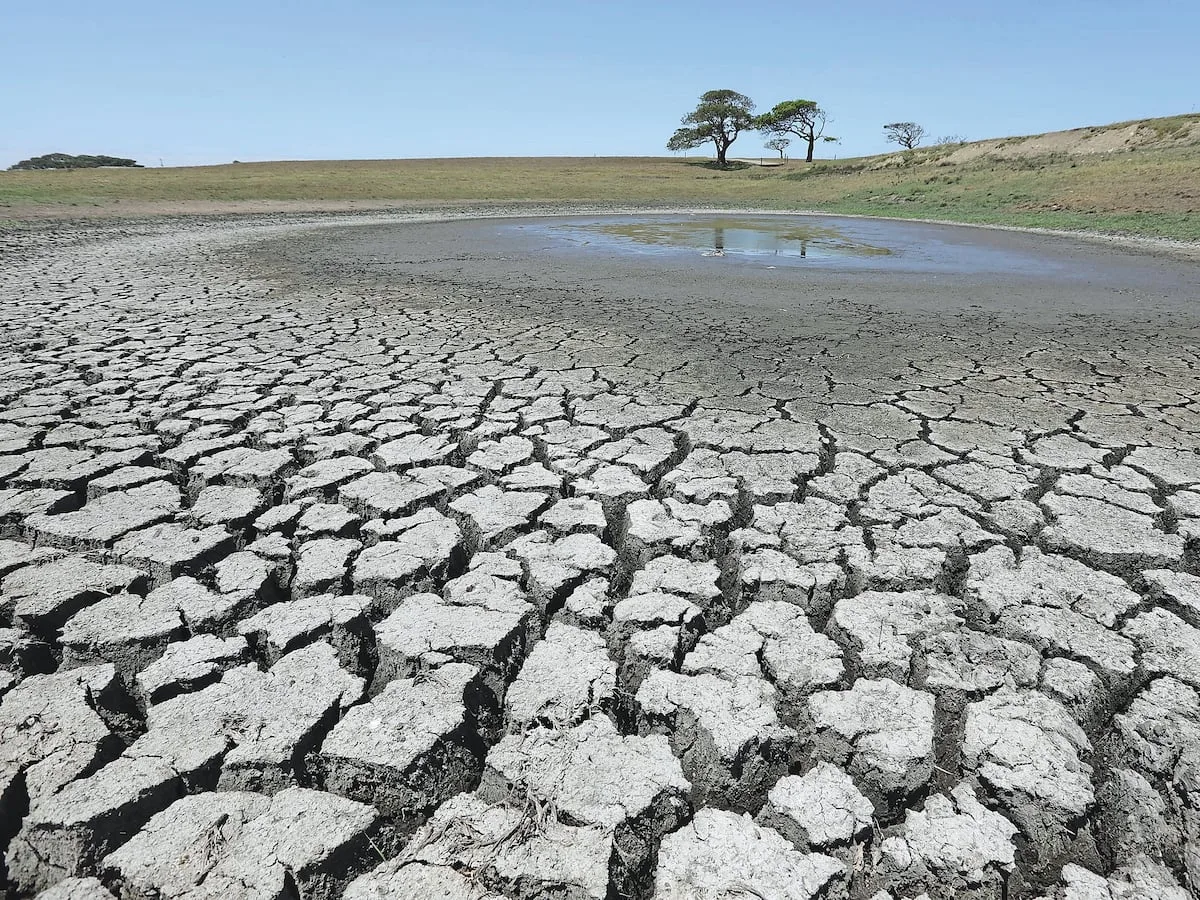 WATCH: Is SA’s agriculture sector ready for a hotter, drier summer?