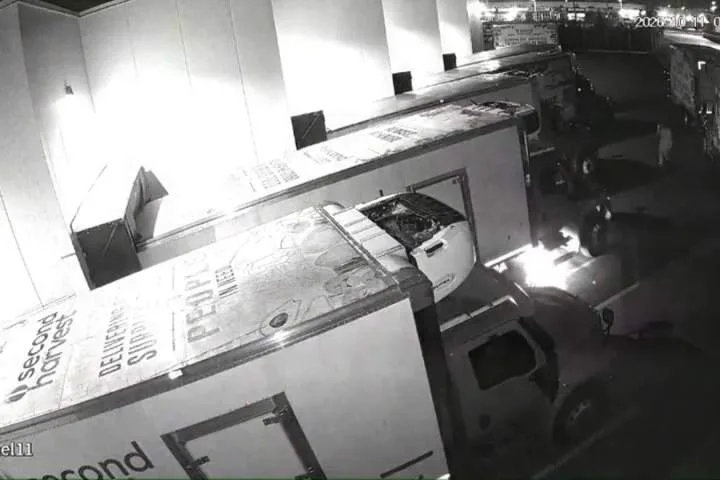 Second Harvest theft: Arrest made as Toronto police seek second suspect