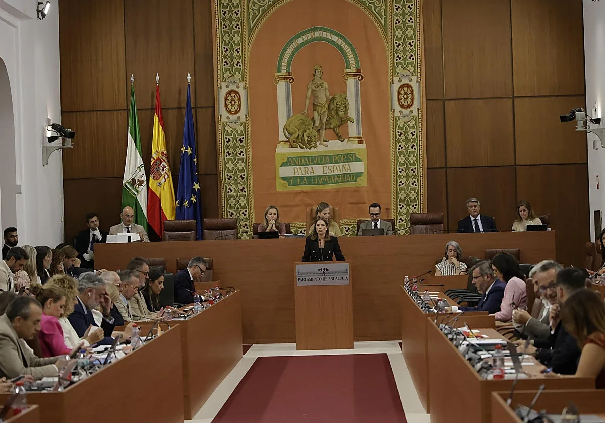 El Parlamento andaluz ante la crisis de Ceuta: «O se está con Marruecos o se está con España»
