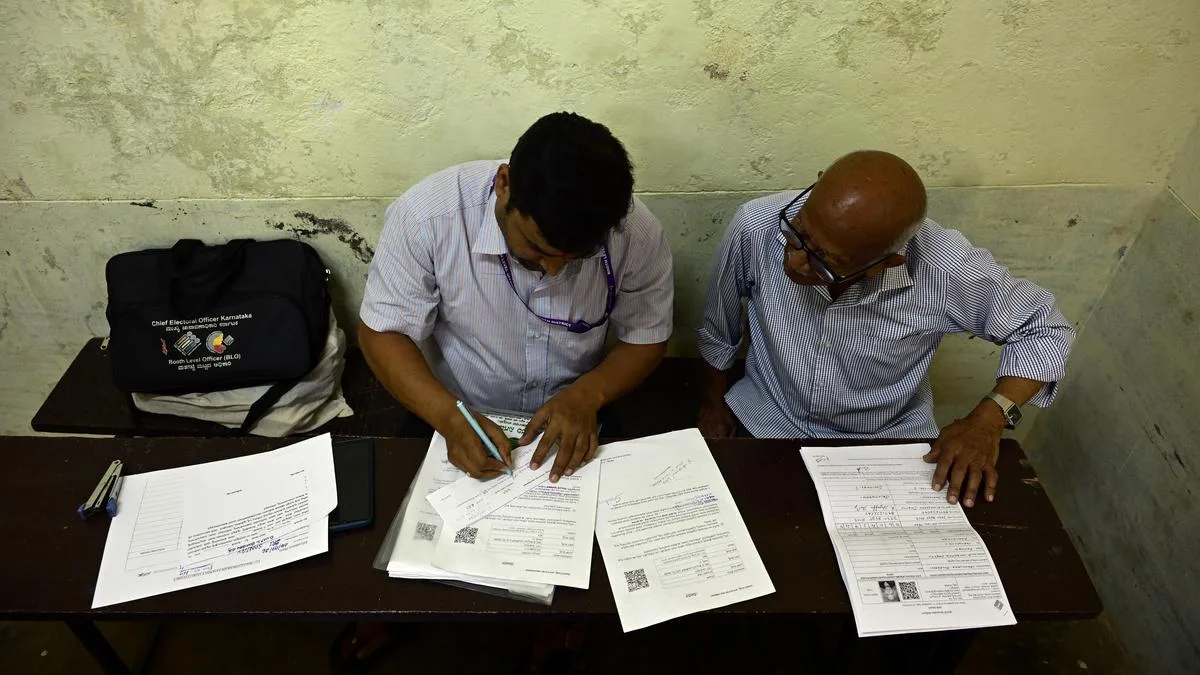 The many categories of SIR’s logical discrepancy list keep voters on toes