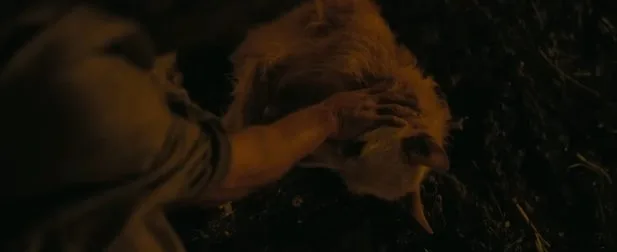 O Fim da Rua: Cachorro morre no filme? Anne Hathaway responde a questionamento dos fãs O Fim da Rua: Cachorro morre no filme? Anne Hathaway responde a questionamento dos fãs