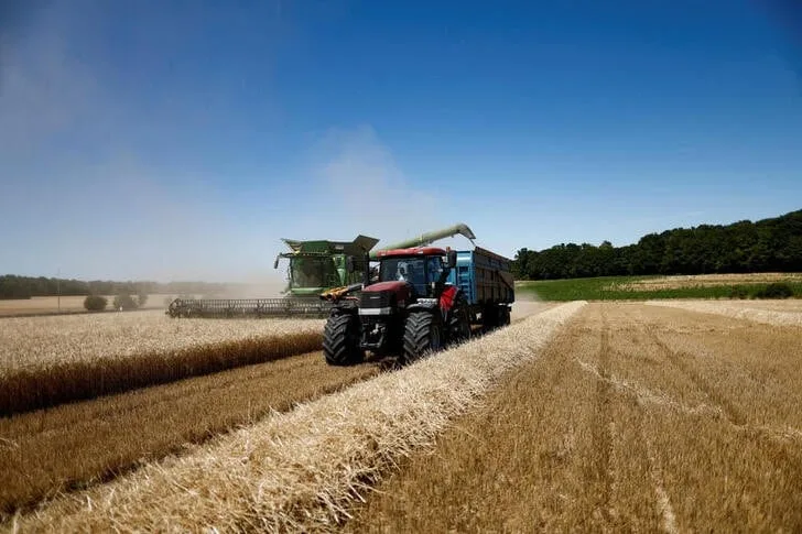 Los agricultores piden a Competencia que investigue a los operadores cerealistas por hundir los precios: “Manipulan el mercado”