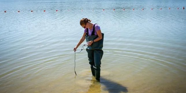 « On pensait pouvoir au moins tremper les pieds, mais c’est interdit » : les proliférations de cyanobactéries empêchent la baignade dans des lacs et rivières de France