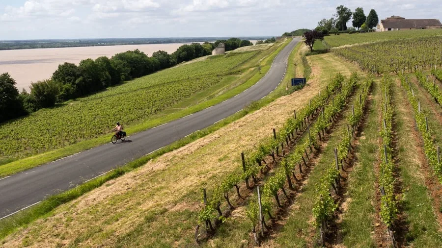 Fahrradreise in Frankreich: Tour de France durch die Weingärten von Bordeaux