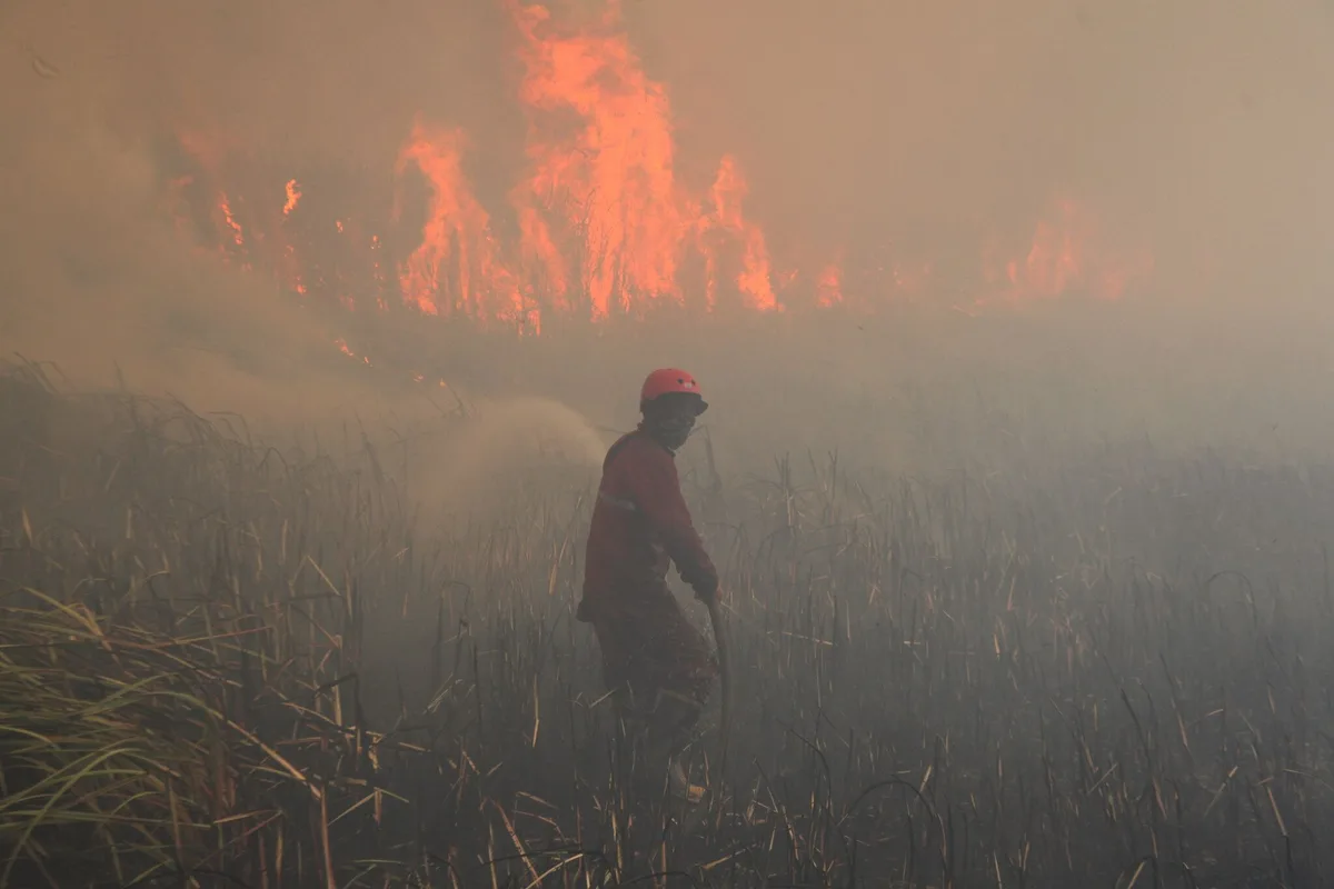 En Indonésie, des feux de forêt sans fin : « La pollution s’aggrave de jour en jour »