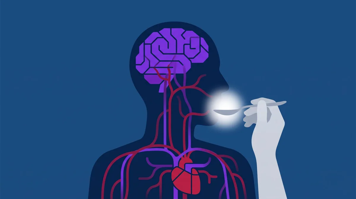 El alimento que mejora la presión, la resistencia y hasta el cerebro según la ciencia