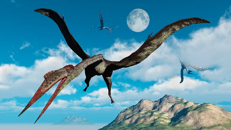 First museum devoted to prehistoric flying reptiles opens in NW China