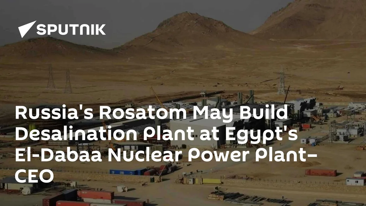 Russia's Rosatom May Build Desalination Plant at Egypt's El-Dabaa Nuclear Power Plant– CEO