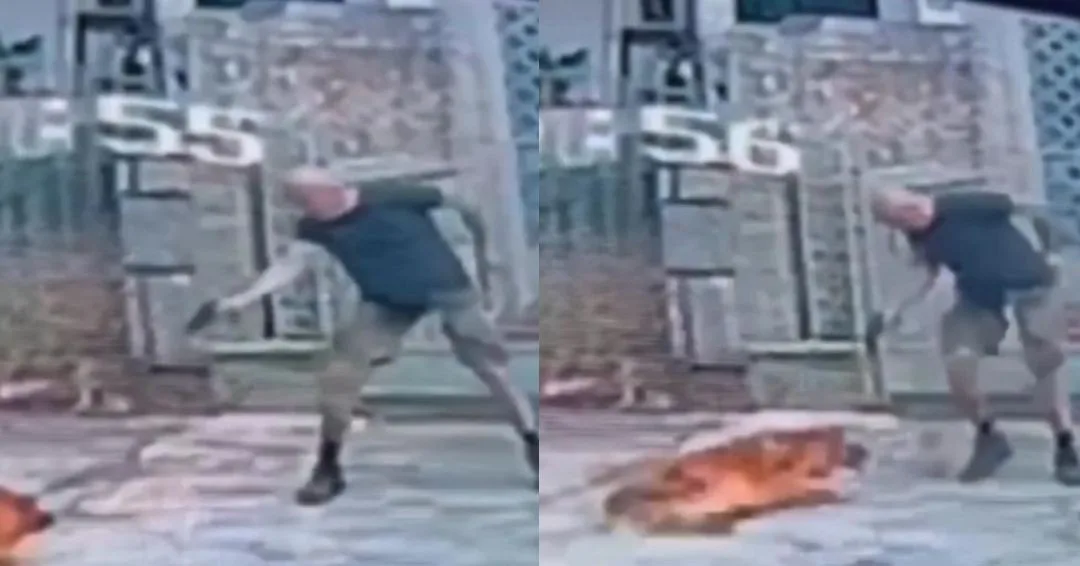 Homem mata a tiros cachorro na Tijuca, no Rio de Janeiro: ‘Nunca vi nada parecido’, diz tutora