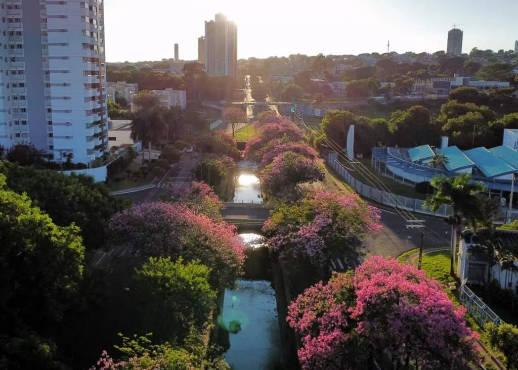 Ir embora ou ficar: quais são seus planos para viver em Campo Grande?
