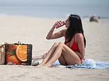 New map reveals where Americans have suffered the hottest summer in history... See where your state ranks