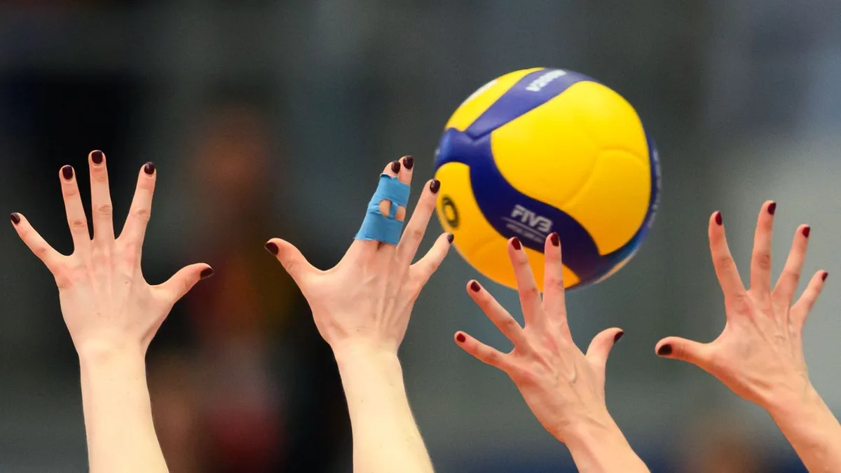 Volleyball-Bundesliga: Dresdner Volleyballerinnen feiern ersten Sieg