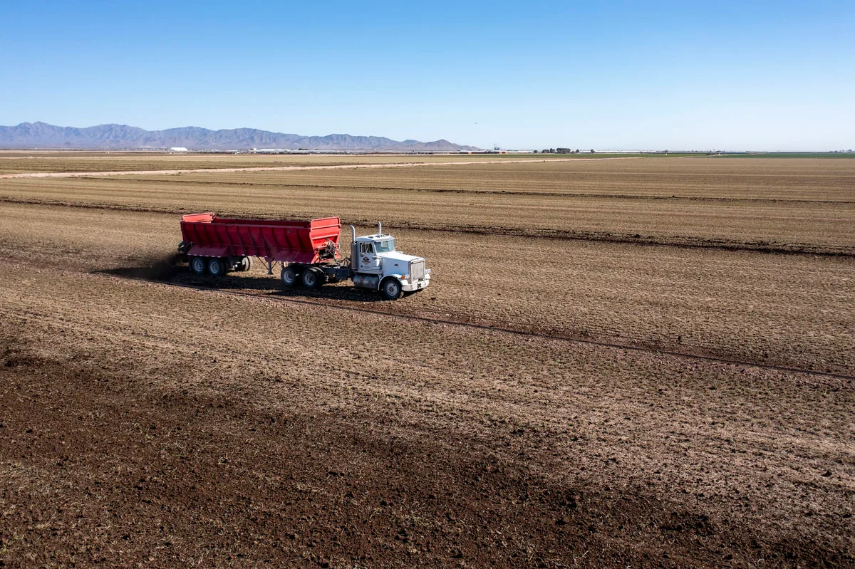 Water cuts are coming for Arizona. Is your salad on the chopping block?