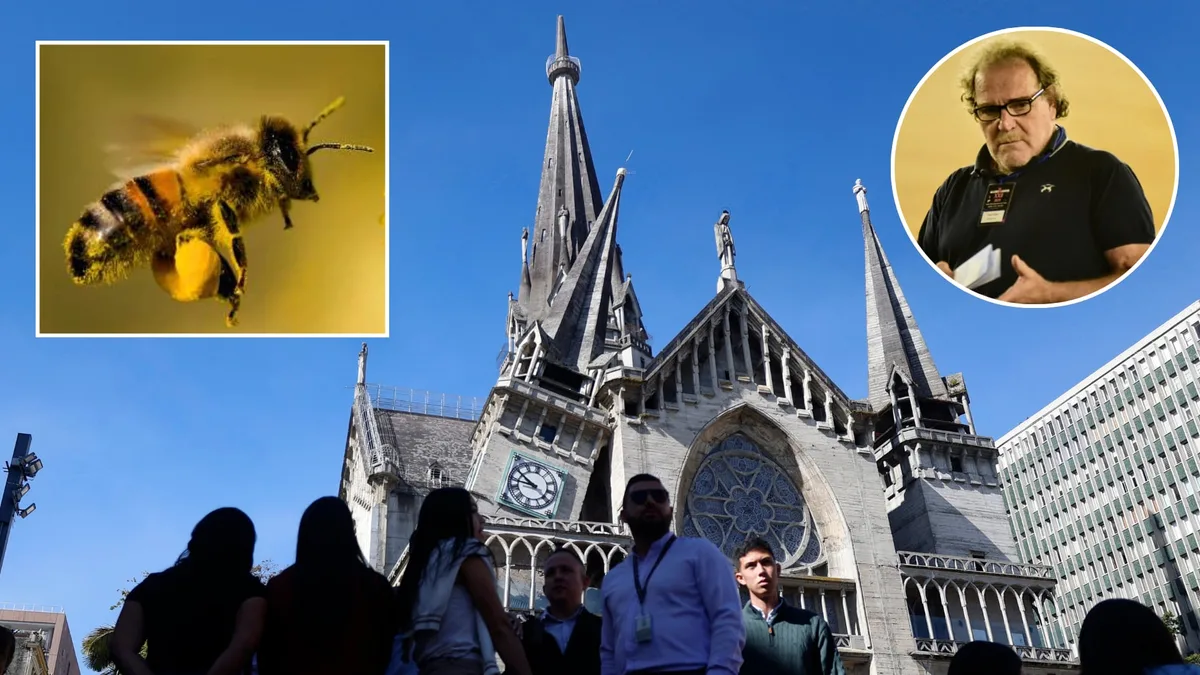 Dramaturgo argentino que padeció el terremoto en Colombia tuvo que ser internado tras ser atacado por un enjambre de abejas en Manizales: “En cinco minutos me moría”