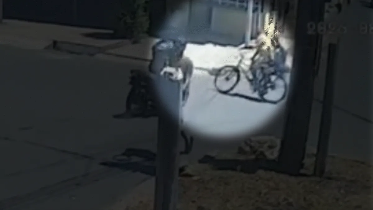 VÍDEO: Criança é arremessada de bicicleta após colisão com moto no PI; suspeito quase foi linchado, diz PM
