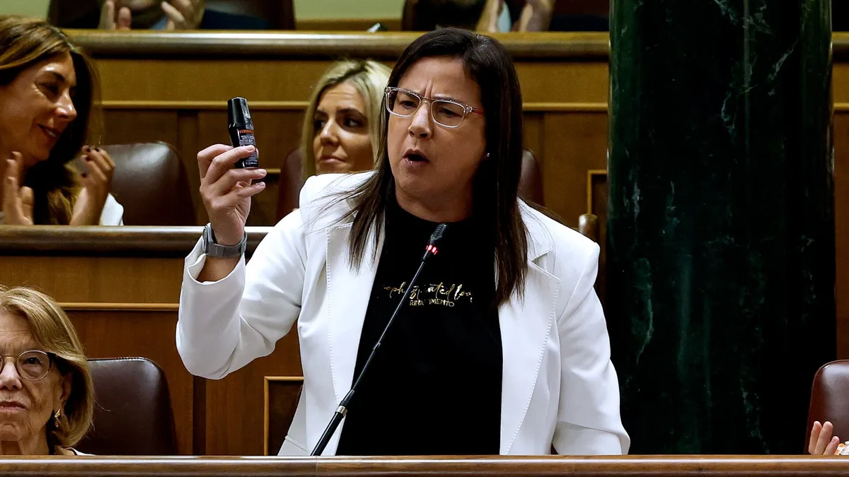 Esto es lo que dice la Ley sobre el uso de sprays de gas pimienta y por qué es considerado un arma no letal