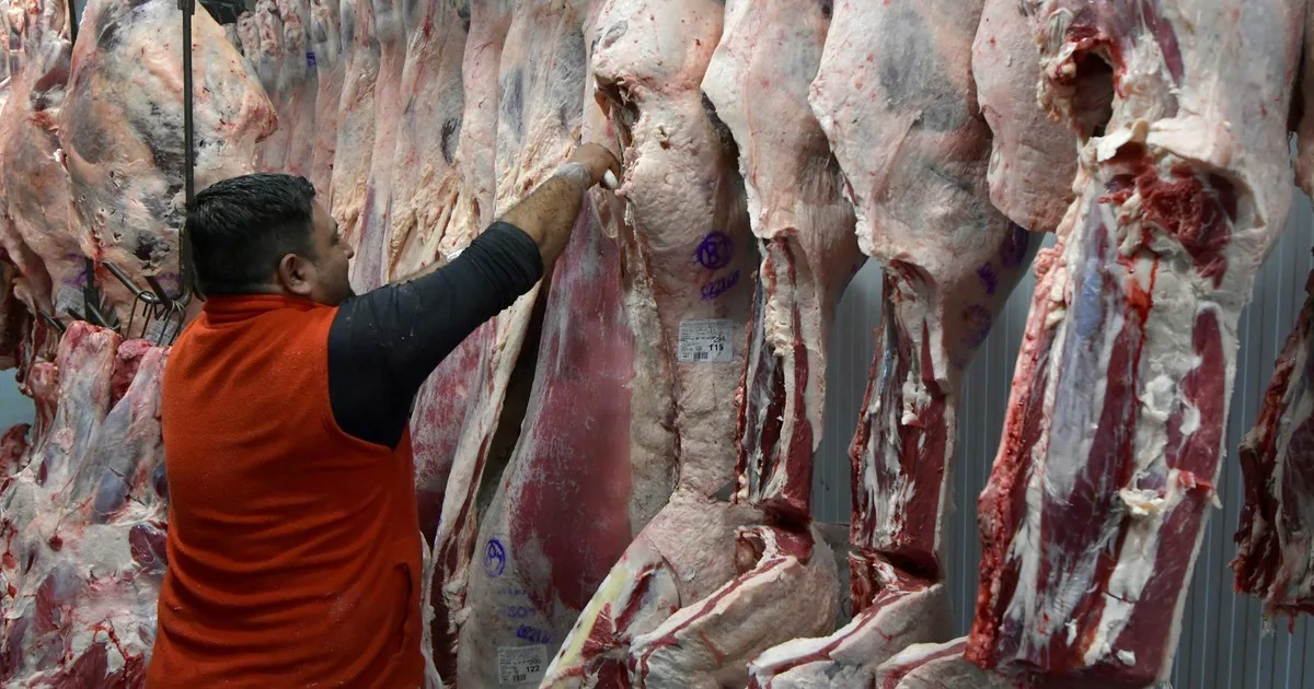 Las exportaciones de carne vacuna crecieron 42% en valor en los primeros siete meses del año