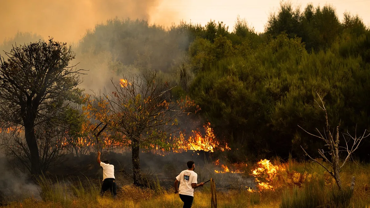 Incêndios rurais mobilizam centenas de operacionais em quatro concelhos