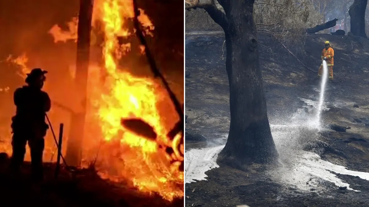 Climate change not the only blame for bushfire crisis as new research points the finger at history