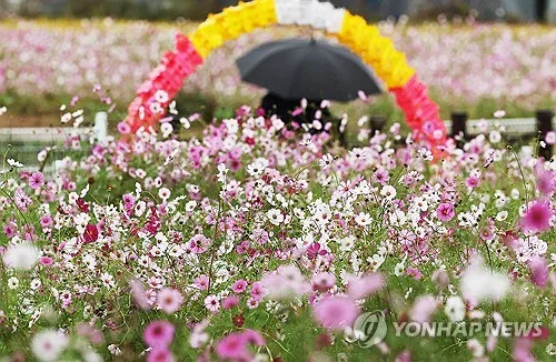 강원 남부 내륙·산지·태백에 5∼20㎜ 소나기…큰 일교차