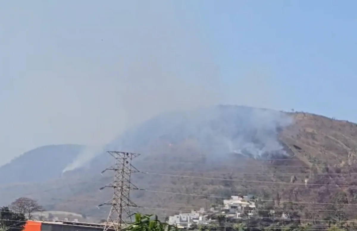 Incêndio em área de mata mobiliza bombeiros no Buritis, em BH