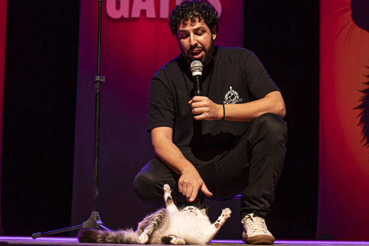 'Gateiros unidos salvam vidas', diz humorista que faz stand-up sobre sua rotina com 45 felinos
