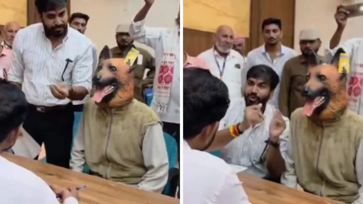 Dog Mask On, Man Claims Madhya Pradesh Sterilisation Drive All Bark, No Bite