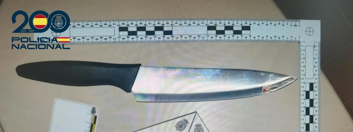 Detenida una pareja en Palma tras una pelea en la que él golpeó a la mujer y ella le apuñaló