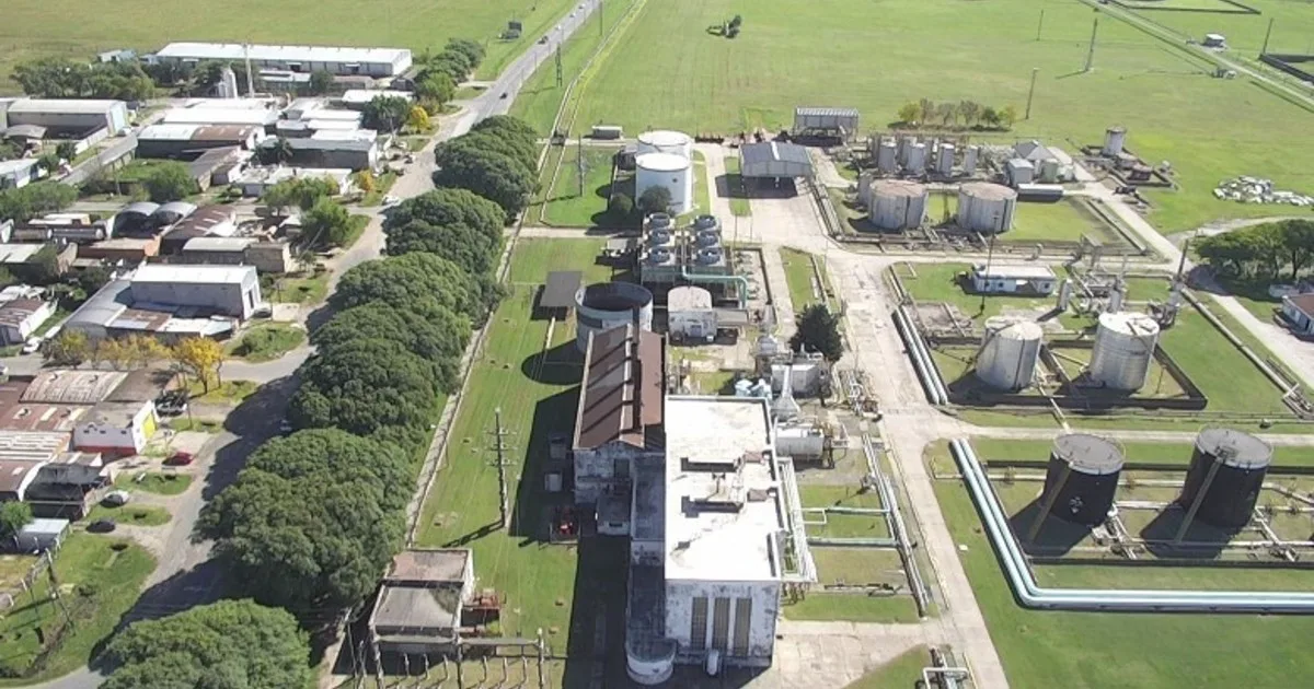 Inversión de US$ 400 millones: una sociedad conformada por YPF firmó un acuerdo de venta de biocombustible para avión a una petrolera francesa