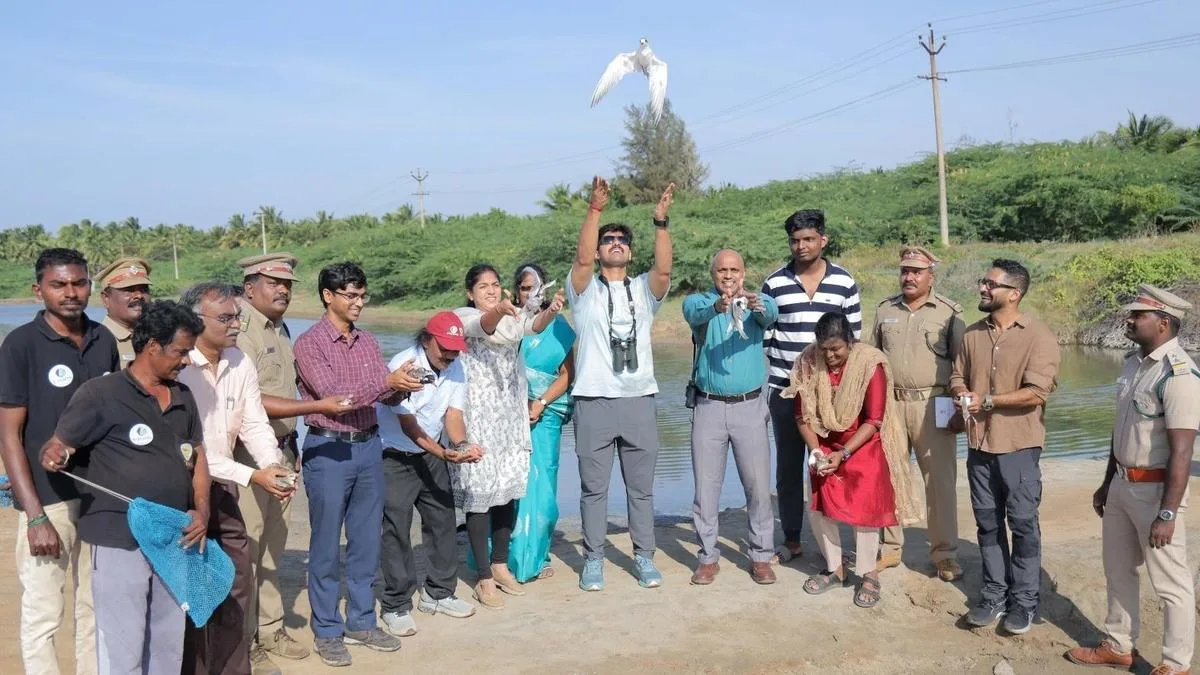 Special bird monitoring and ringing camp held at Puthalam salt pans