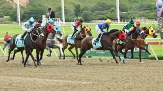 Uno de los potros hizo el imponente remate previo al Clásico República Bolivariana de Venezuela (GI)