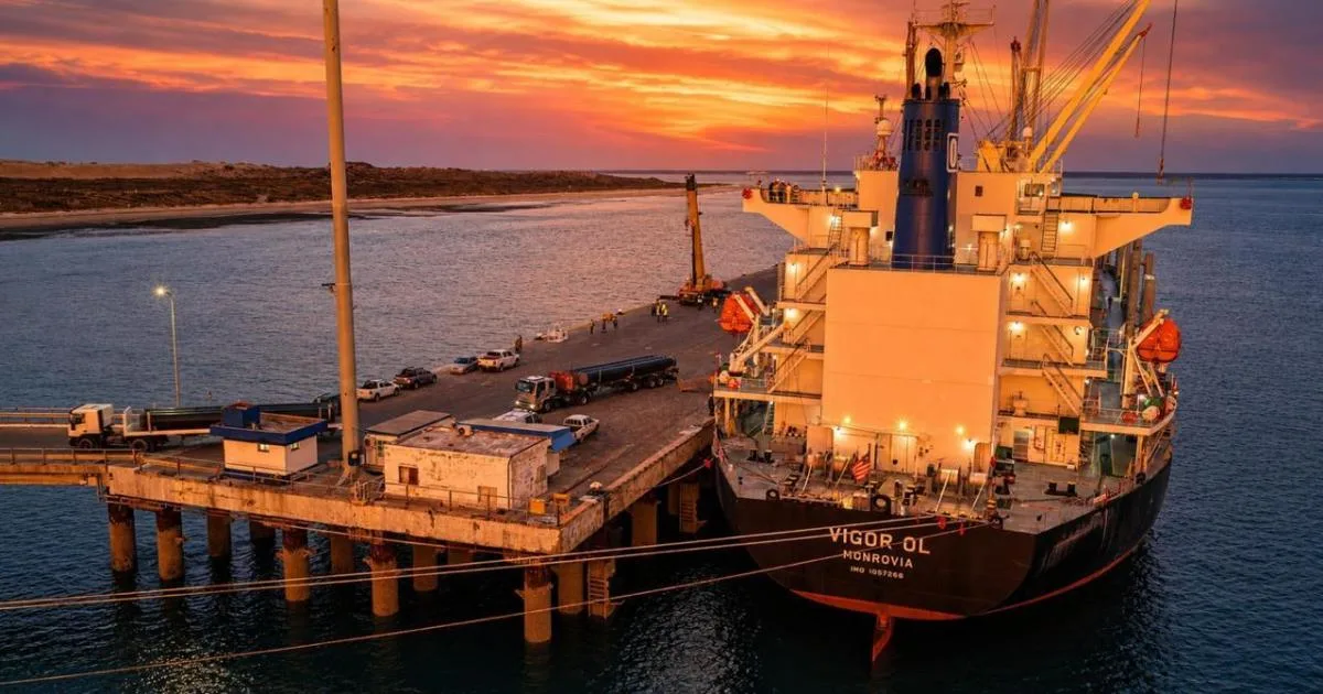 De Camerún, a Singapur, India y Río Negro: la obra para exportar GNL ya une a tres continentes