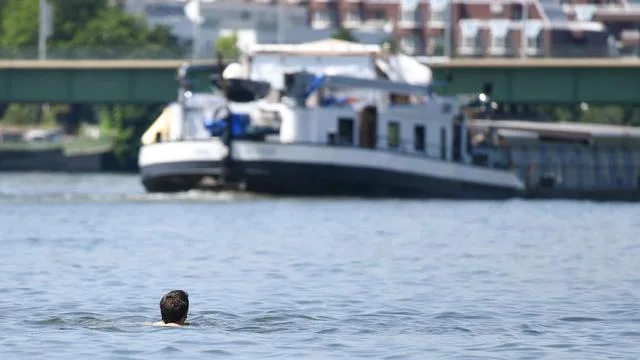 In Probe nachgewiesen: Blaualgen im Neckar nachgewiesen: Landkreis rät vom Baden ab