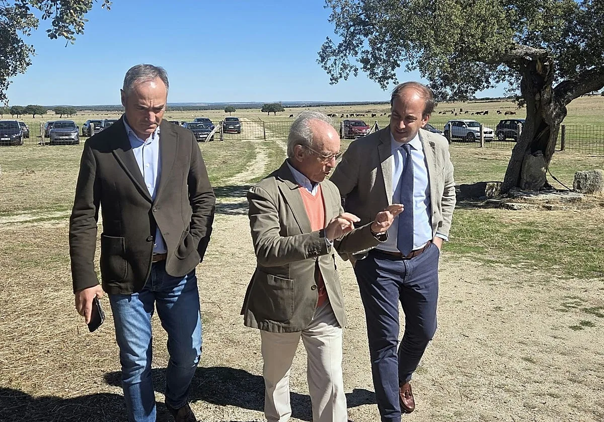 La Junta reivindica la ganadería de lidia como patrimonio genético y cultural