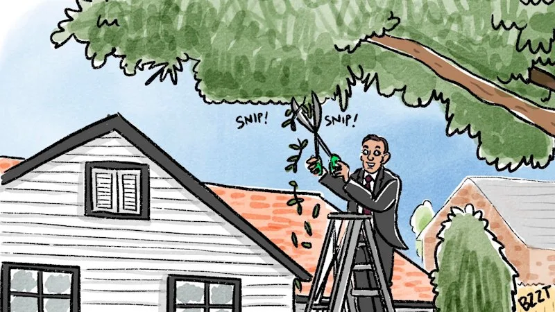 Best of cartoons, September 22, 2026