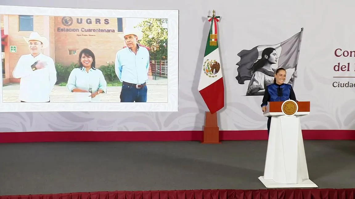 Sheinbaum anuncia reapertura de exportación ganadera en Sonora con Estados Unidos