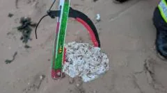 Dog warning as suspected palm oil washes up on beach