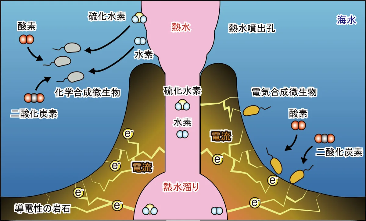 光合成ならぬ「電気合成」で増える微生物、深海熱水噴出孔近くに
