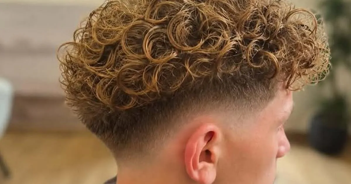 Tendance. La coupe brocoli, cette drôle de coiffure qui remet la permanente au goût du jour