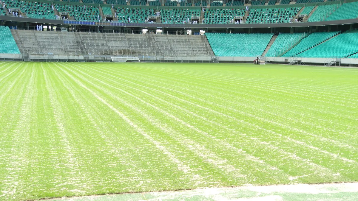 Bahia diverge de nota da Arena Fonte Nova e se isenta de responsabilidade sobre gramado