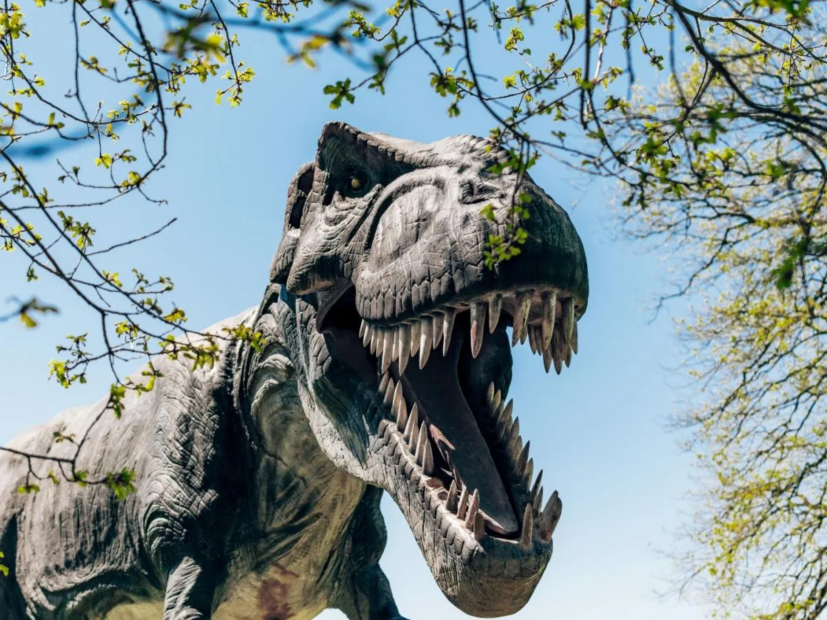 Le Tyrannosaurus rex avait le sang chaud