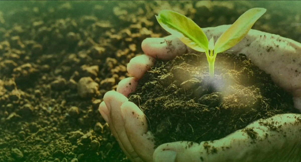 Universidade Ceuma realiza X Fórum do Meio Ambiente; veja programação
