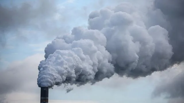 Klimaschutz und Wirtschaft: Ifo: Niedriger CO2-Preis bremst Investitionen fürs Klima