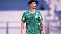 Contra o Fluminense, Palmeiras vive dilema antes de decisão na Libertadores