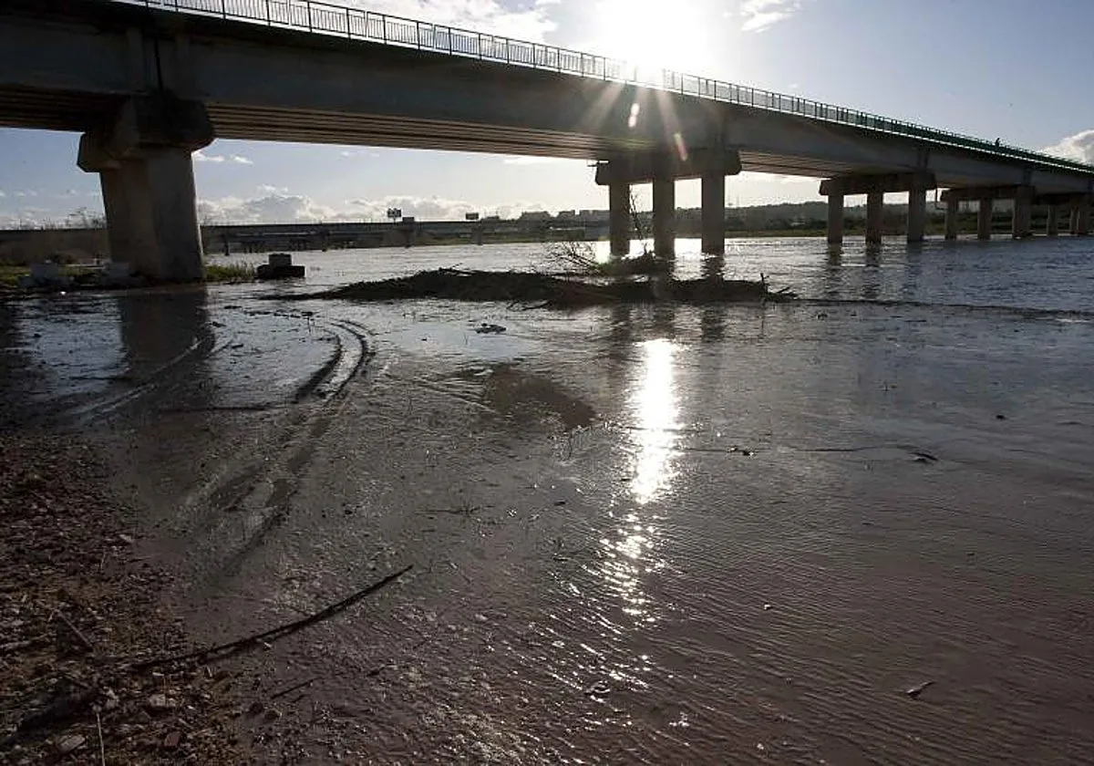 Hallan muerta en el Guadalquivir a la altura de San Juan de Aznalfarache a la vecina desaparecida de Mairena del Aljarafe