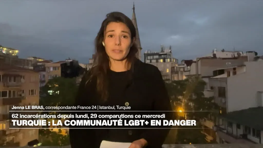 La communauté LGBT+ visée en Turquie "au nom de la famille"