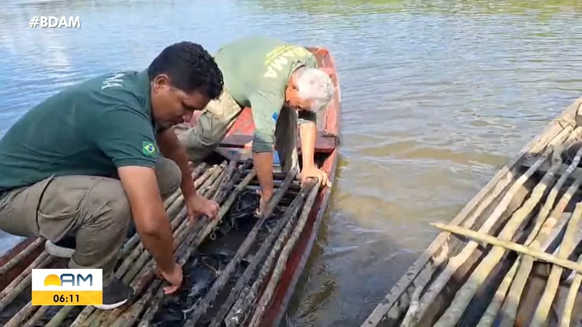 VÍDEOS: Bom Dia Amazonas desta quarta-feira, 19 de agosto de 2026