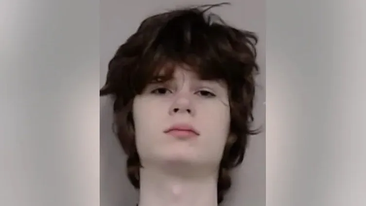 Illinois teen arrested over alleged plot targeting Hindu place of worship