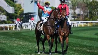 Ka Ying Rising el caballo mejor valorado del mundo va por la marca de Flightline